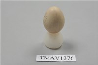 藏品(伯勞卵)的圖片